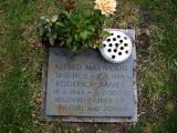image of grave number 149098